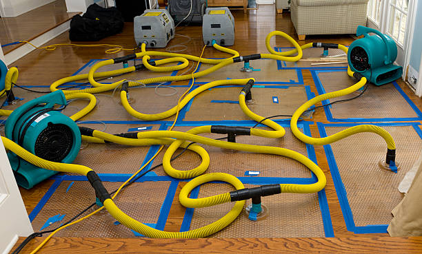 Professional Flood Damage Restoration technician working in Shirley, IN